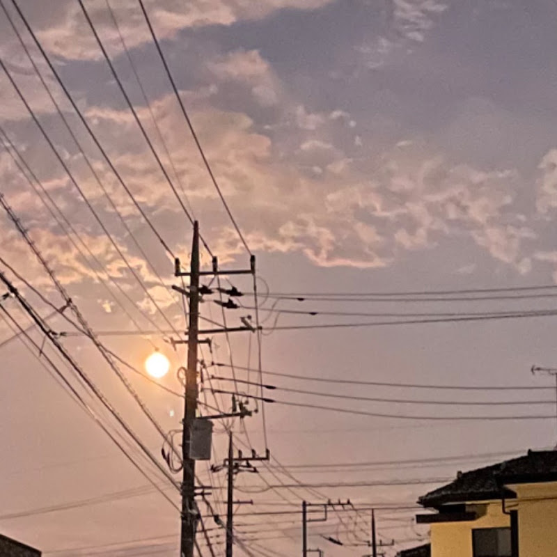 イワイマオ