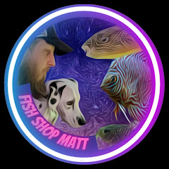 Fish Shop Matt Avatar