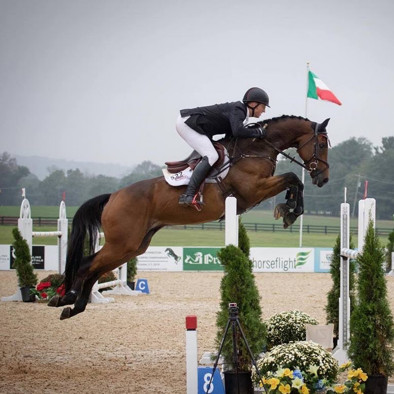 Doug Payne - International Equestrian & Pilot icon