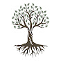 Providence Christian Church Cape Coral, FL logo