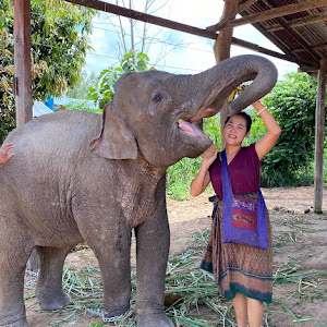 UCITMAwLzujNCyDtZOEP_n2A YouTube channel image