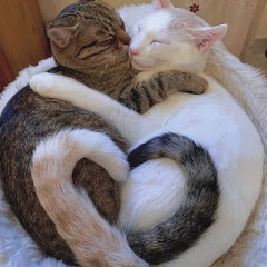 生き物の世界アイコン画像