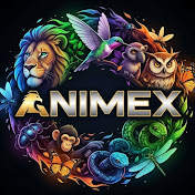 Animex