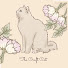 XBXMvcXWCOc-channel-avatar-The Craft Cat