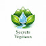 G2CC54qTGBE-channel-avatar-Secrets Végétaux