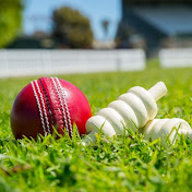 Cricket Buzz