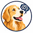 LXzUSvWb1yE-channel-avatar-Dog's Psychology