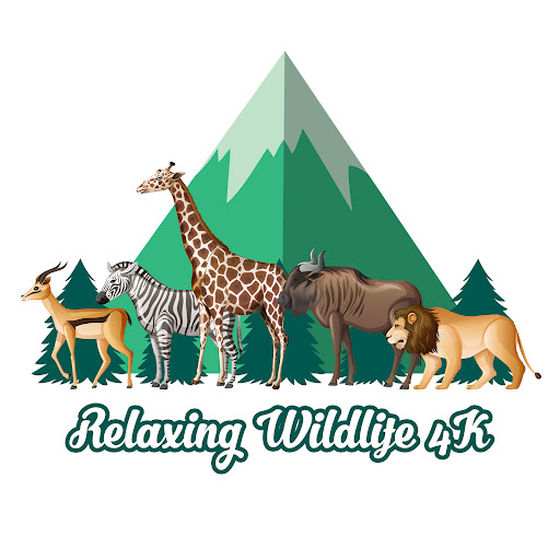 Relaxing Wildlife 4K