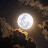 @عاشقهالقصص-ل6ت
