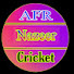 FWZsLDfdlKM-channel-avatar-AFR Nazeer Cricket 