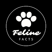 Feline Facts