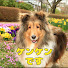 2hmaDcz2oaI-channel-avatar-ケンケンの小屋