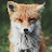 @misthrax's avatar