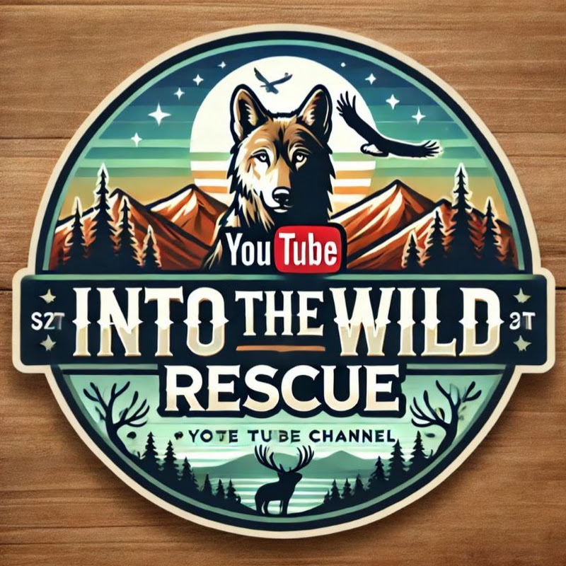 Into The Wild Rescue profile avatar
