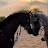 @Bilal_590