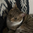 YUzTJX92BAM-channel-avatar-Glo In The Dark