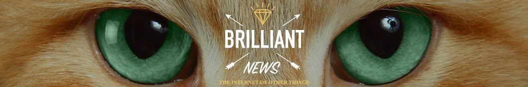 Brilliant News YouTube-Kanal-Avatar