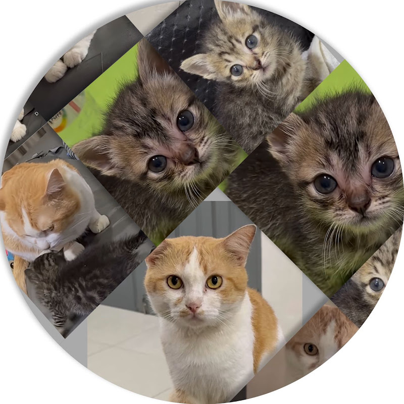Pico & Molly Family