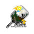 0UVMIjRxB3w-channel-avatar-Dave and Diane Throwing Caution to the Wind