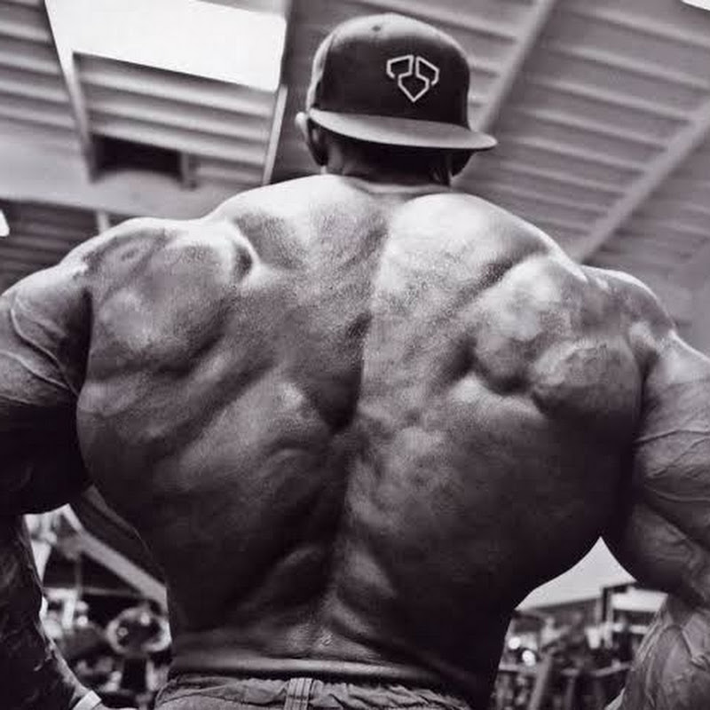 FLEXVISION MOTIVATION