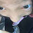 CoUiSHEx3Nk-channel-avatar-ItzyourgirlTsuTsu