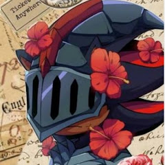 Shisi the hedgehog  channel thumbnail