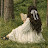 @Hafosa-g8b