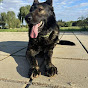 Paris the GSD