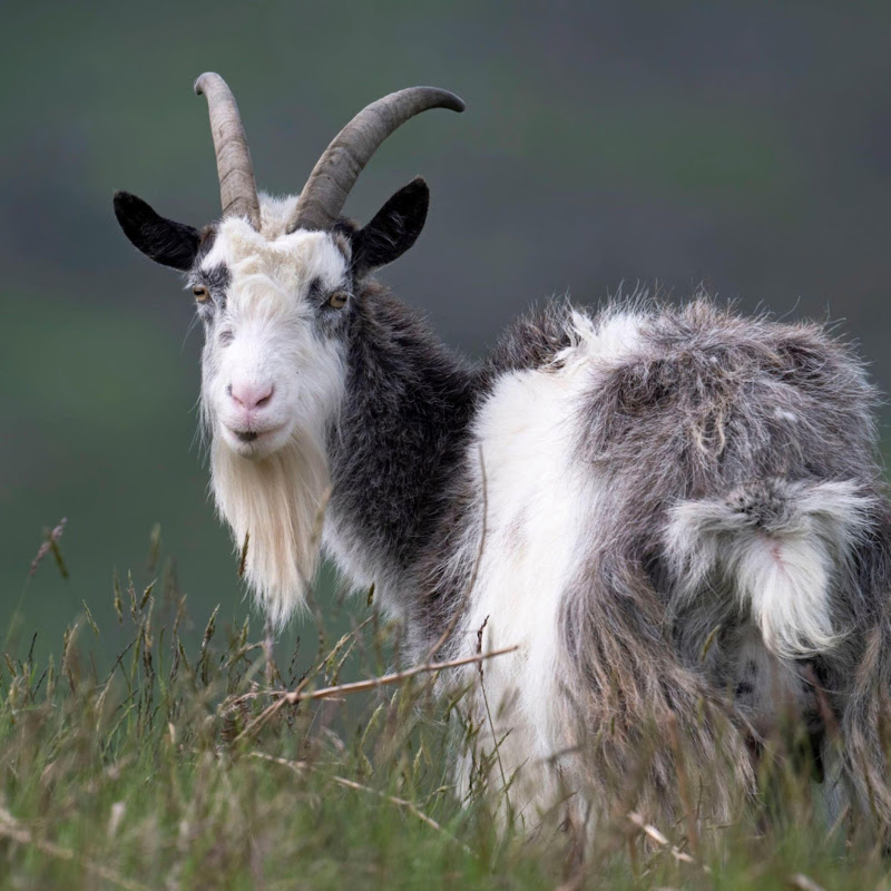 Greatest Music of All Time Logo