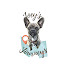 uxg5vJHp1lI-channel-avatar-Joeys Journeys