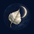 8l77hZwUCYw-channel-avatar-Quiet birch 
