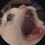 catmobile20