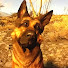 cOhZetsNFfQ-channel-avatar-layla
