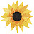 @Sunflowers-Pumpkins