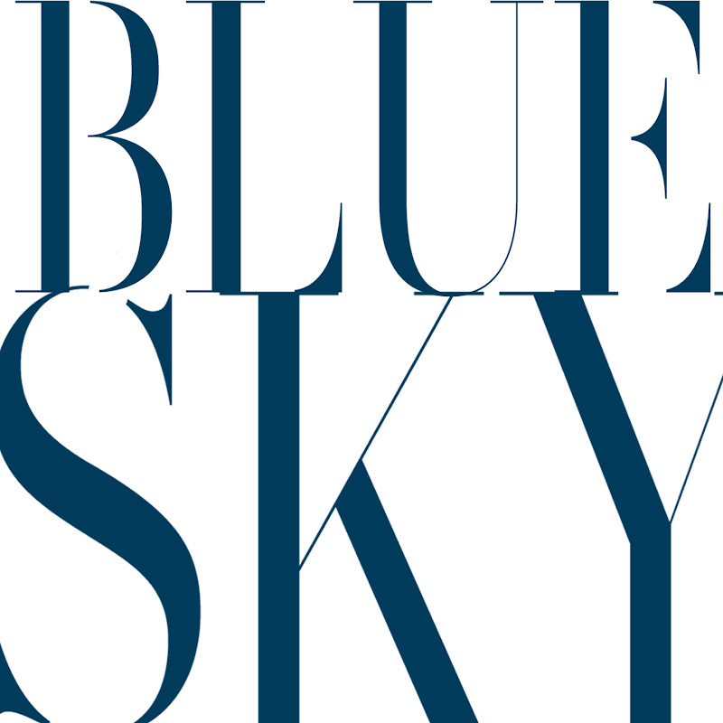 Bluesky Studios NC