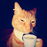 38smzUcO_hE-channel-avatar-NoTzyN