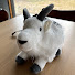 c8jlfSX2N9A-channel-avatar-Arapiles Beta Goats