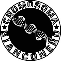 CROMOSOMA BIANCONERO ON AIR