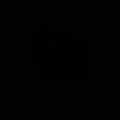 gone for a while 🕊️