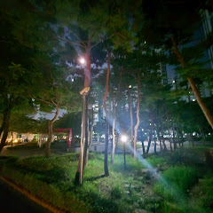 영재TV