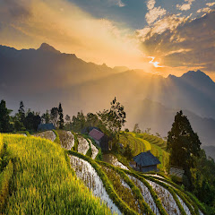 Michael Sealey - Topic