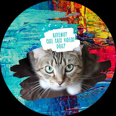 Kittenify