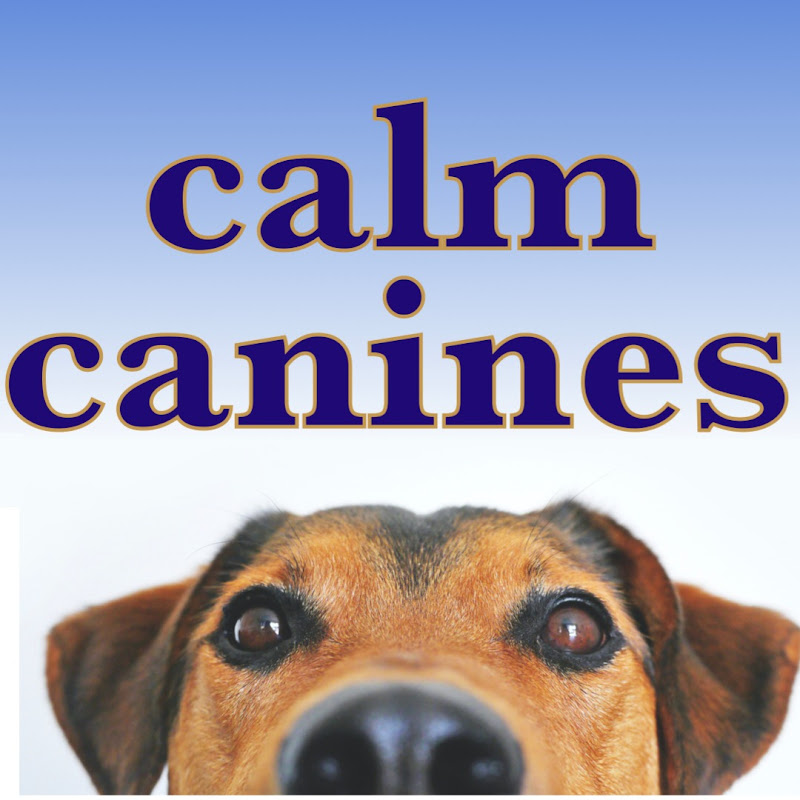 CalmCanines Dog Music
