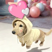 美海🎼
