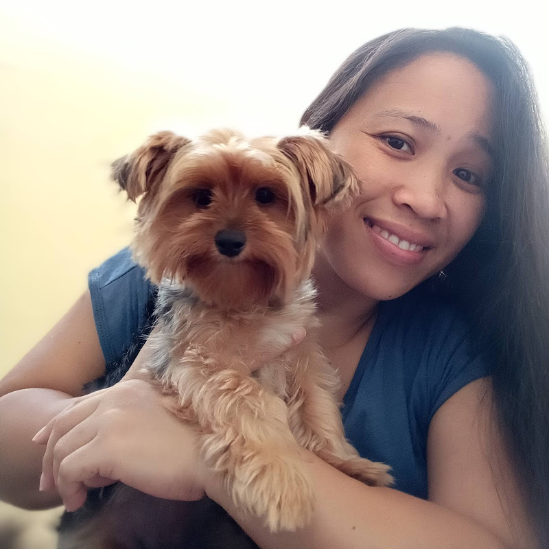 YORKieNette's CHANNEL