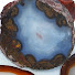 a66kDTUhF7E-channel-avatar-Mike's Lapidary & Fossils