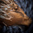 @waynemetalart3591 Avatar
