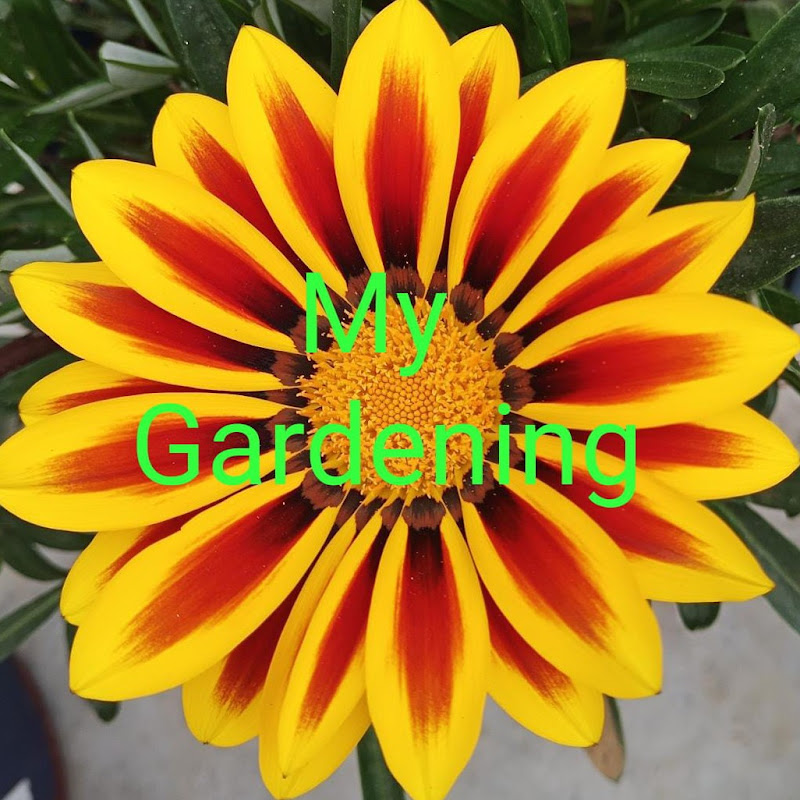 MyGardening & Nature