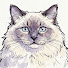 X-1upEJ-mqk-channel-avatar-The Floppy Cat TV