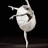 OCXx8H_wuUY-channel-avatar-Ballet Holix